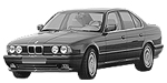 BMW E34 C258A Fault Code